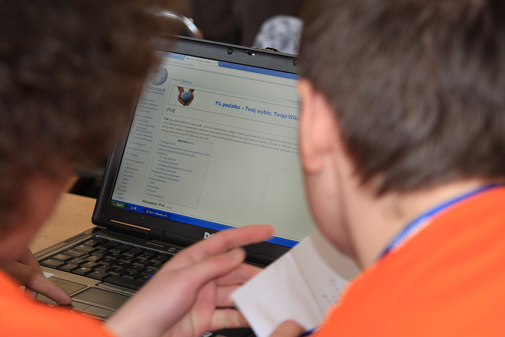 Mistrzowie Internetu 2011