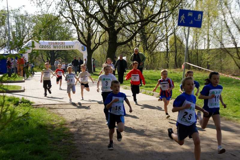 Legnicki Cross Wiosenny cz3