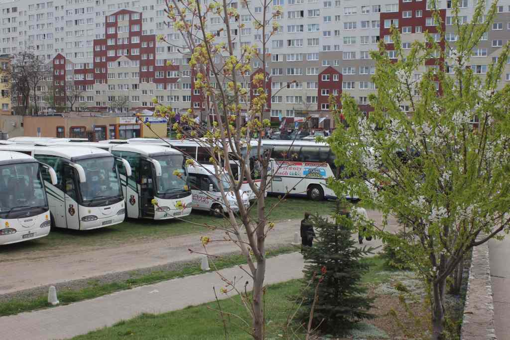 Legnicki Marsz dla Życia