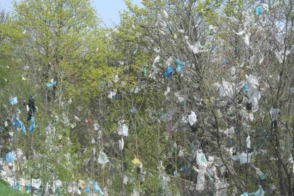 Śmieci wokół wysypiska