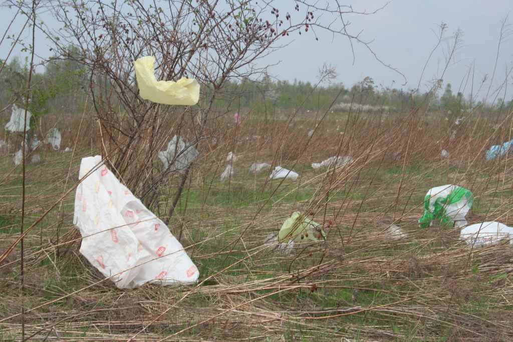 Śmieci wokół wysypiska