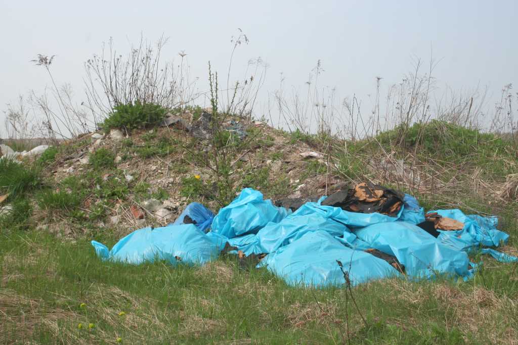 Śmieci wokół wysypiska