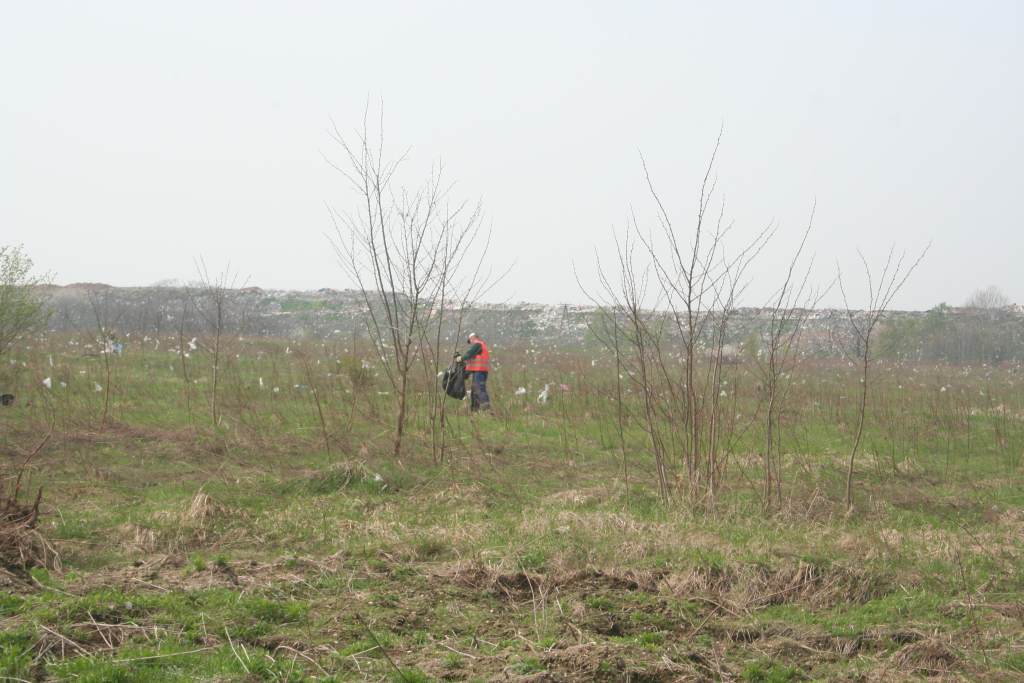 Śmieci wokół wysypiska