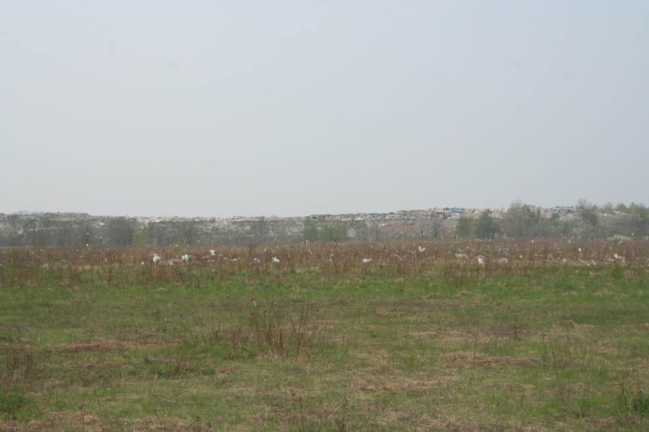 Śmieci wokół wysypiska