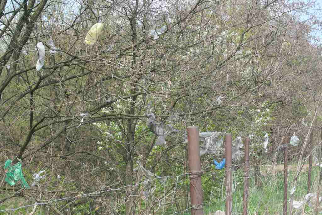 Śmieci wokół wysypiska