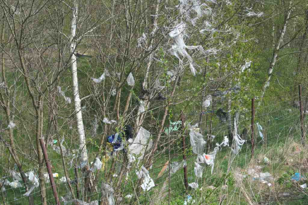 Śmieci wokół wysypiska