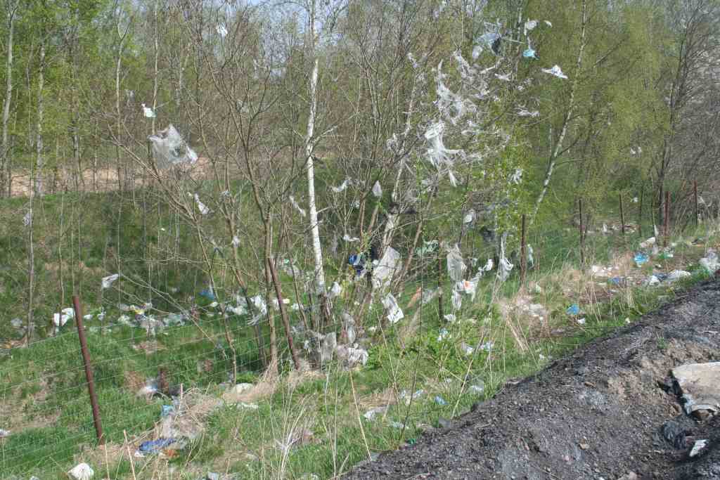 Śmieci wokół wysypiska
