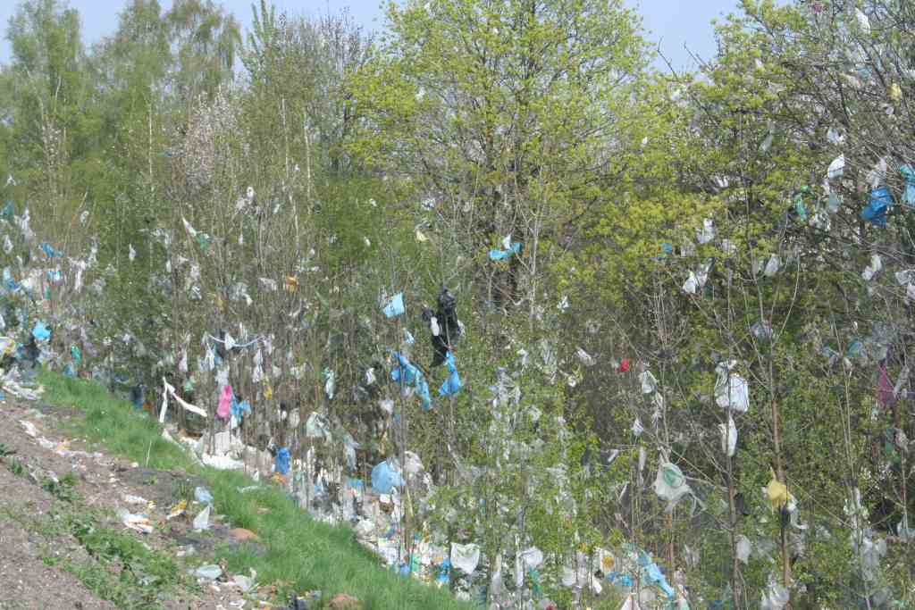 Śmieci wokół wysypiska