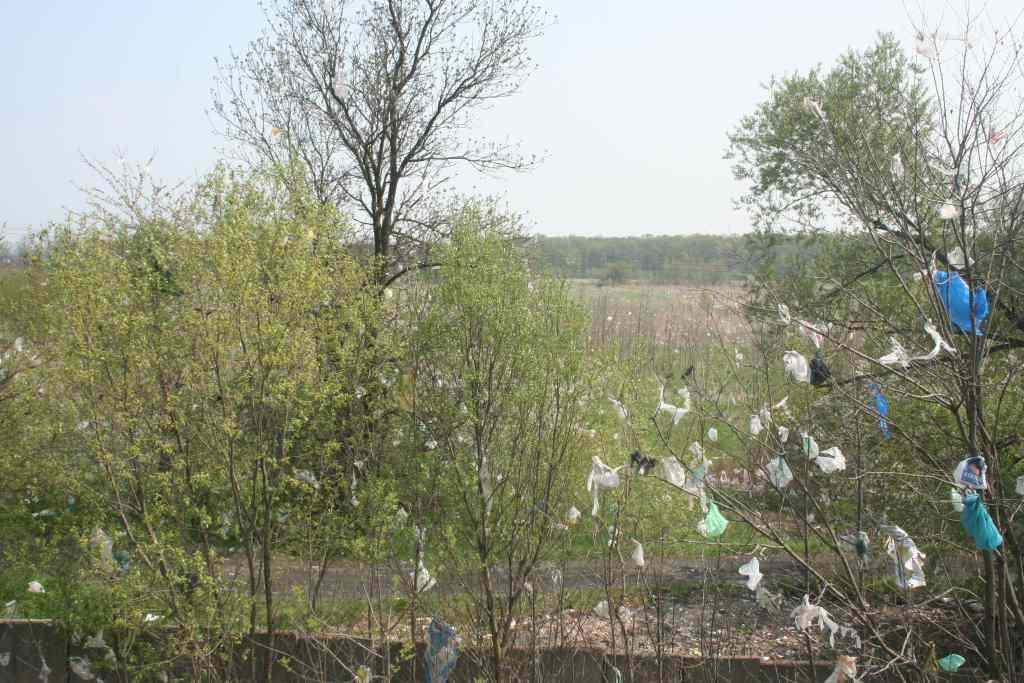 Śmieci wokół wysypiska