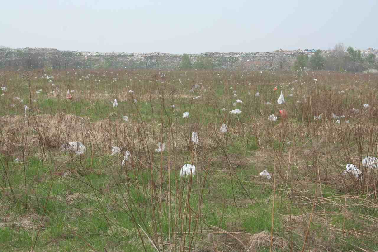 Śmieci wokół wysypiska