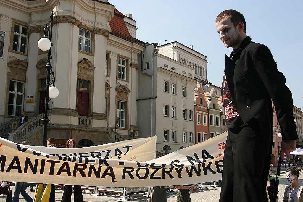 Upomnieli się o zwierzęta na płycie Rynku