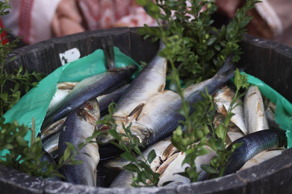 Chleb, śledź i grosz