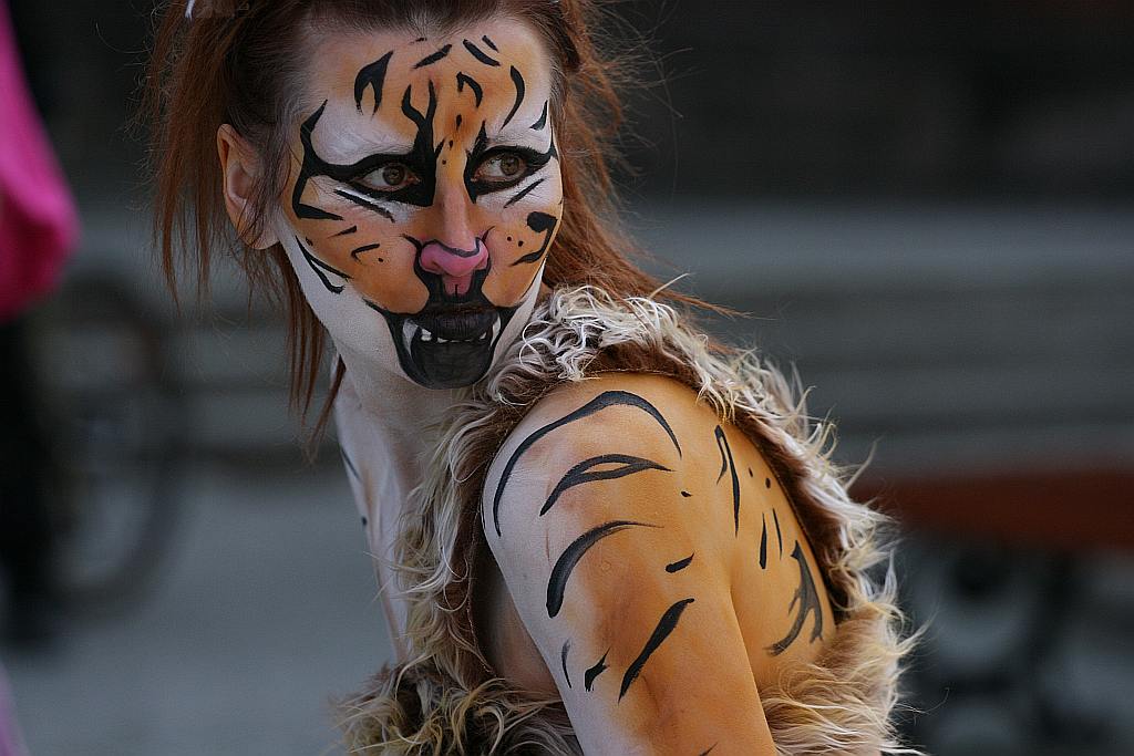 Upomnieli się o zwierzęta na płycie Rynku