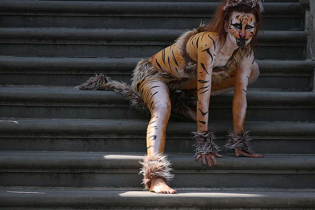 Upomnieli się o zwierzęta na płycie Rynku