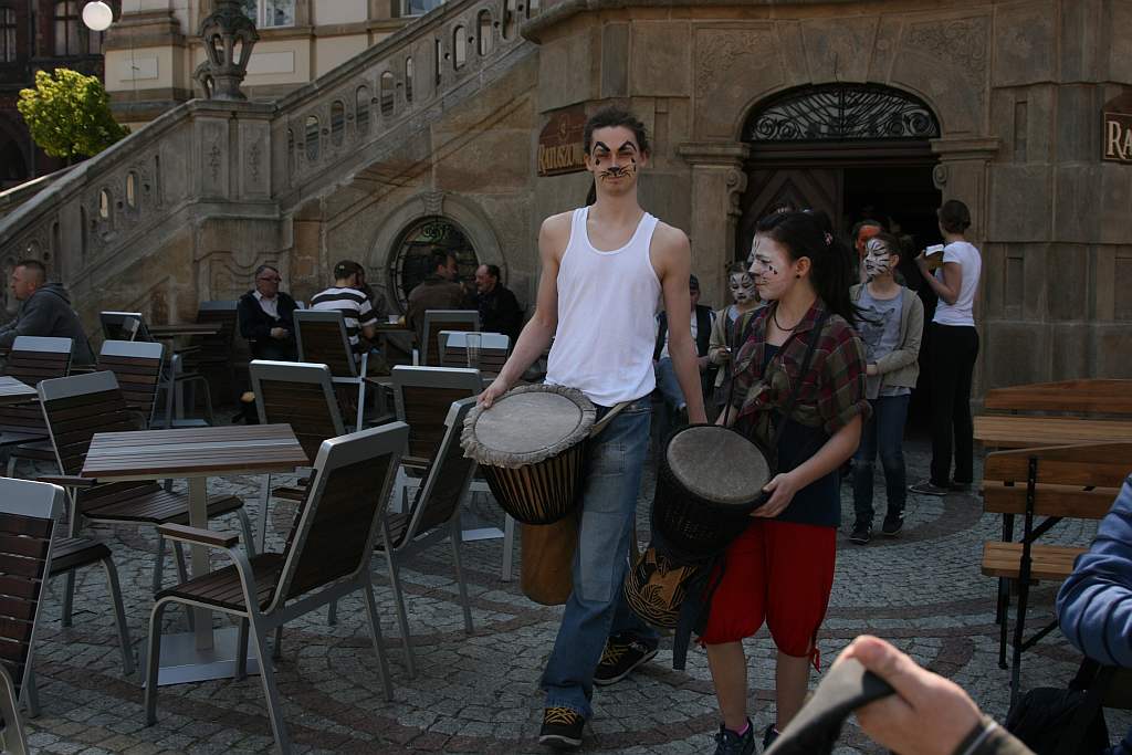 Upomnieli się o zwierzęta na płycie Rynku