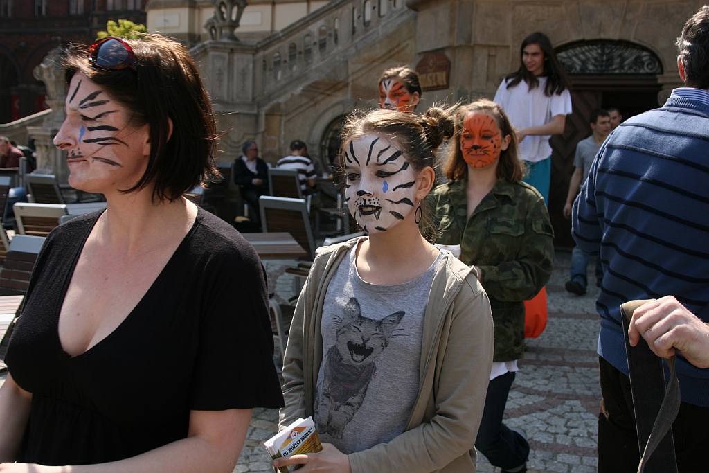 Upomnieli się o zwierzęta na płycie Rynku