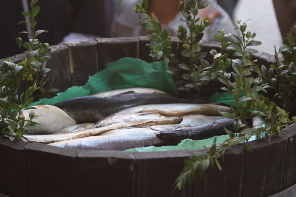 Chleb, śledź i grosz