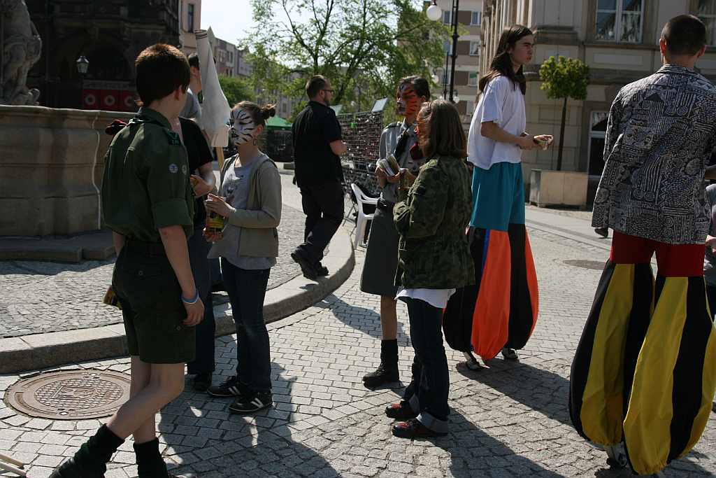 Upomnieli się o zwierzęta na płycie Rynku