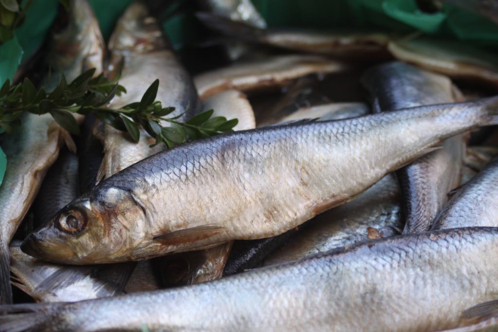 Chleb, śledź i grosz