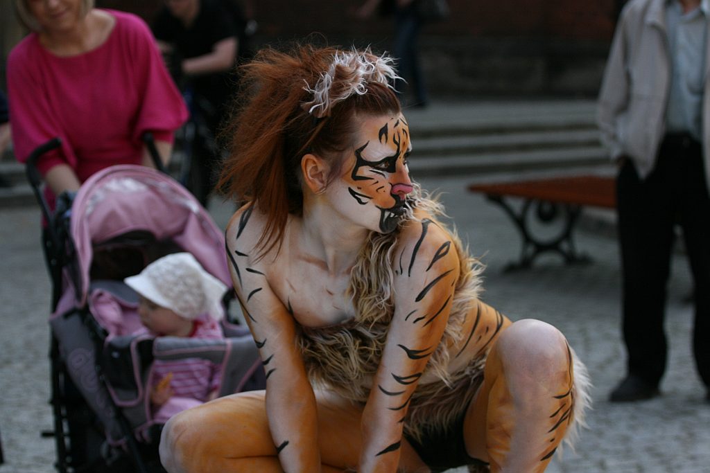 Upomnieli się o zwierzęta na płycie Rynku