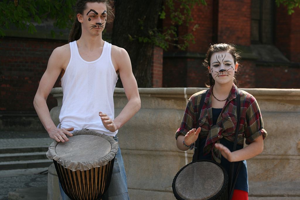 Upomnieli się o zwierzęta na płycie Rynku