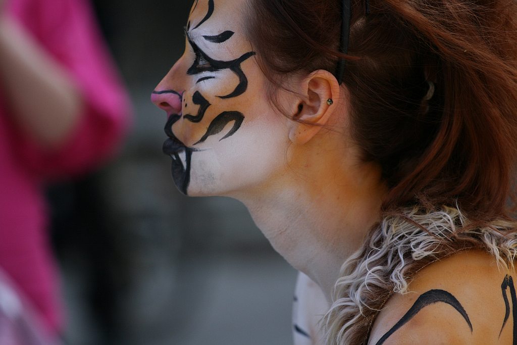 Upomnieli się o zwierzęta na płycie Rynku