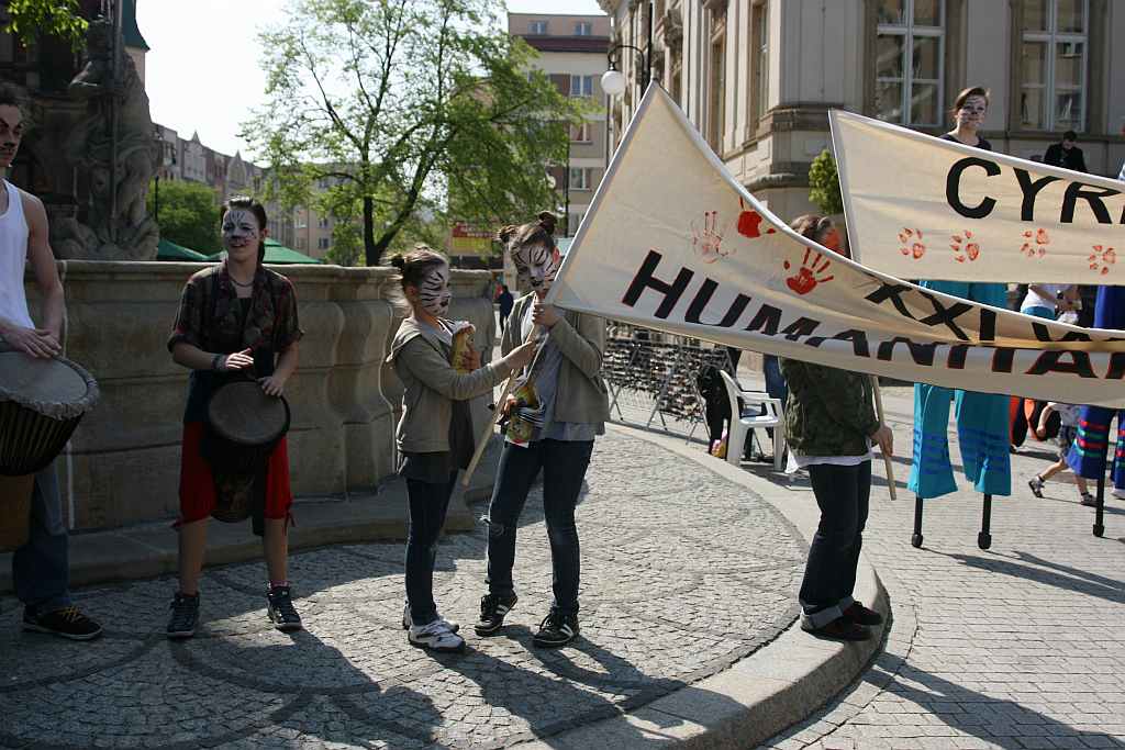 Upomnieli się o zwierzęta na płycie Rynku