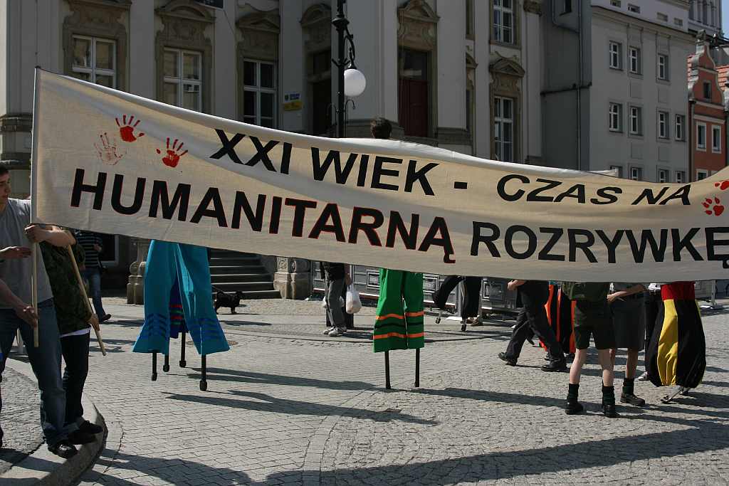 Upomnieli się o zwierzęta na płycie Rynku