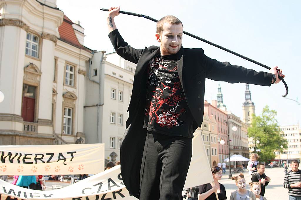 Upomnieli się o zwierzęta na płycie Rynku