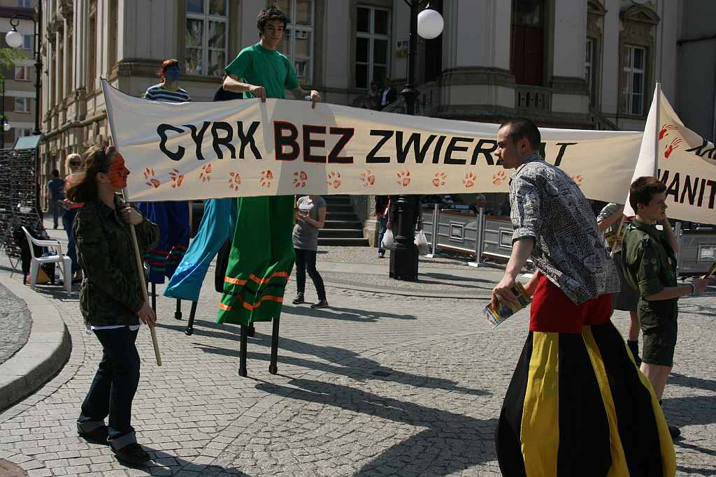 Upomnieli się o zwierzęta na płycie Rynku