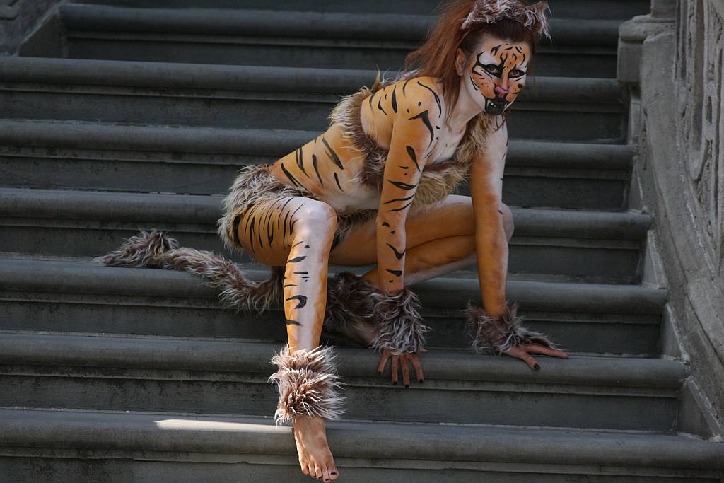 Upomnieli się o zwierzęta na płycie Rynku