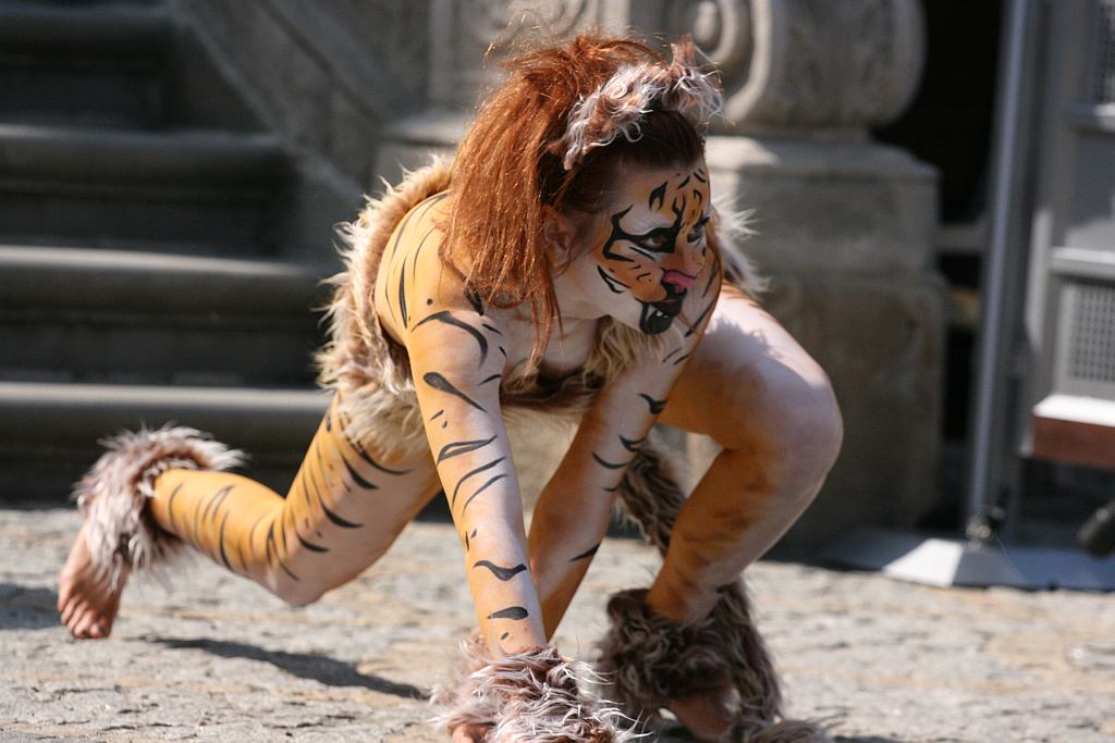 Upomnieli się o zwierzęta na płycie Rynku