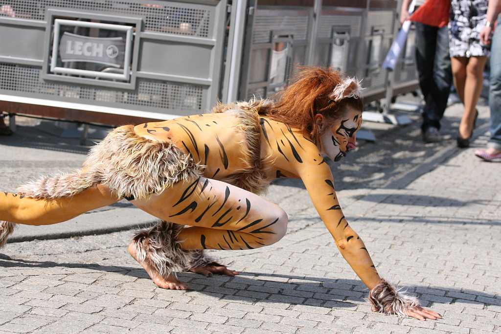 Upomnieli się o zwierzęta na płycie Rynku