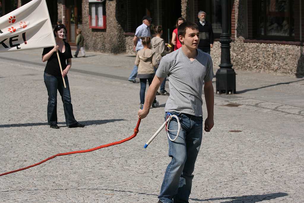 Upomnieli się o zwierzęta na płycie Rynku