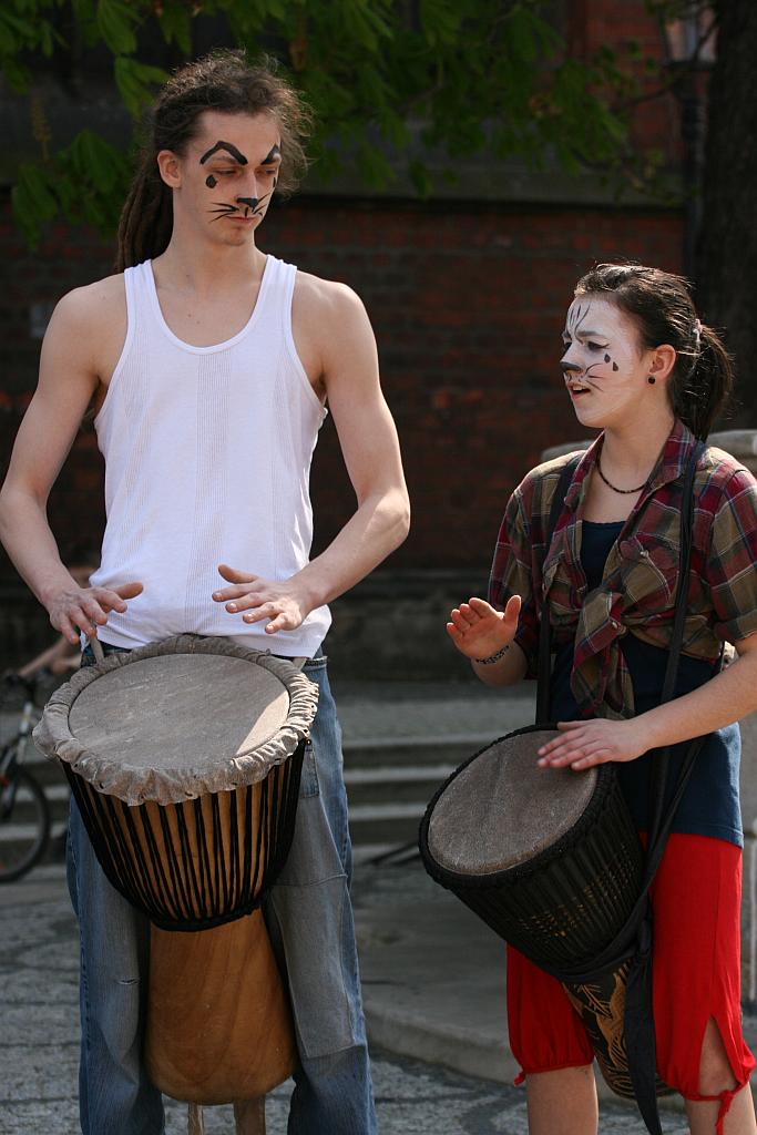 Upomnieli się o zwierzęta na płycie Rynku