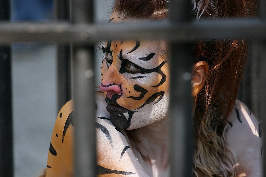 Upomnieli się o zwierzęta na płycie Rynku