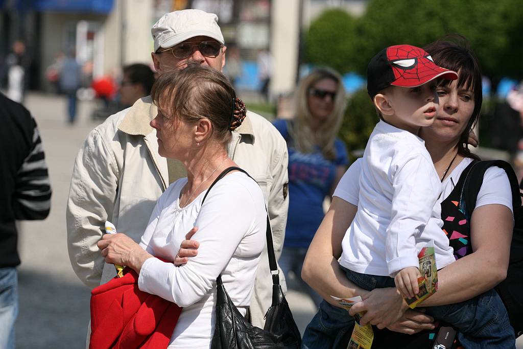 Upomnieli się o zwierzęta na płycie Rynku