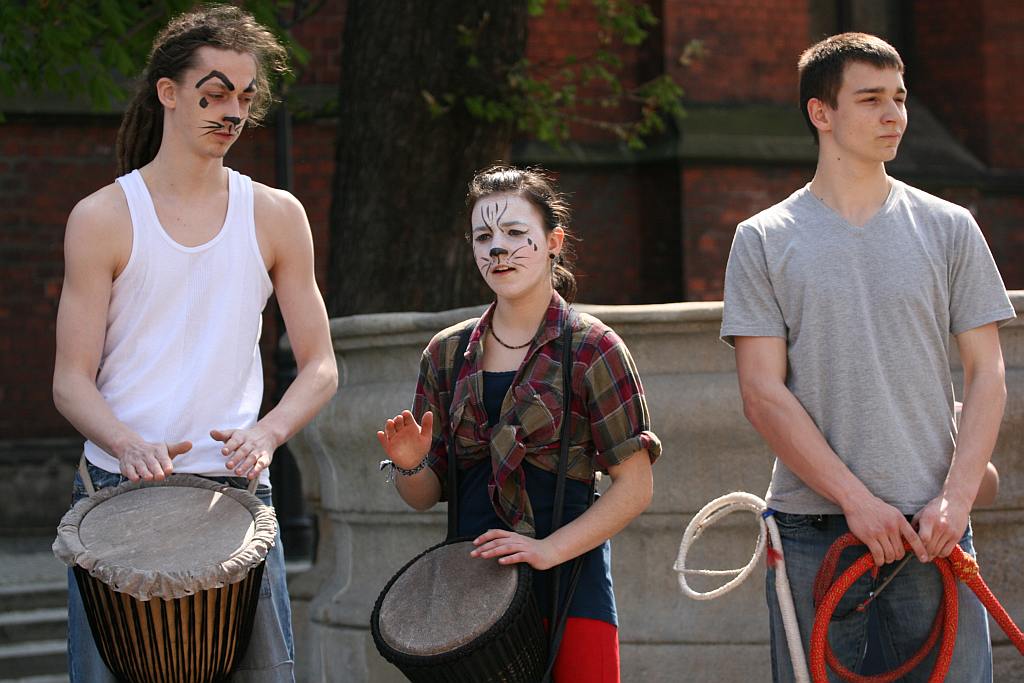 Upomnieli się o zwierzęta na płycie Rynku