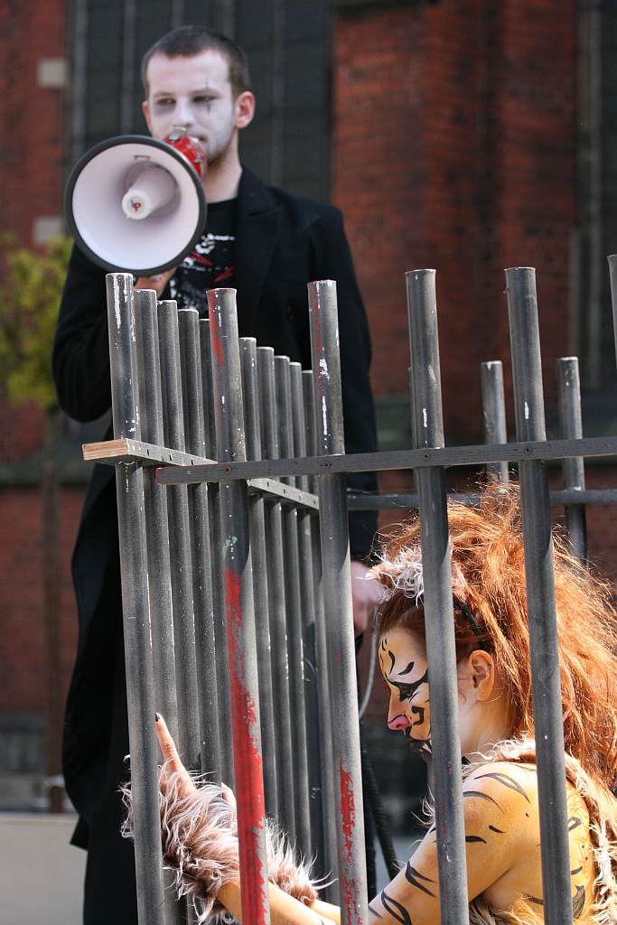 Upomnieli się o zwierzęta na płycie Rynku