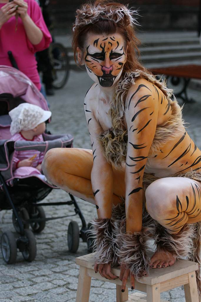 Upomnieli się o zwierzęta na płycie Rynku