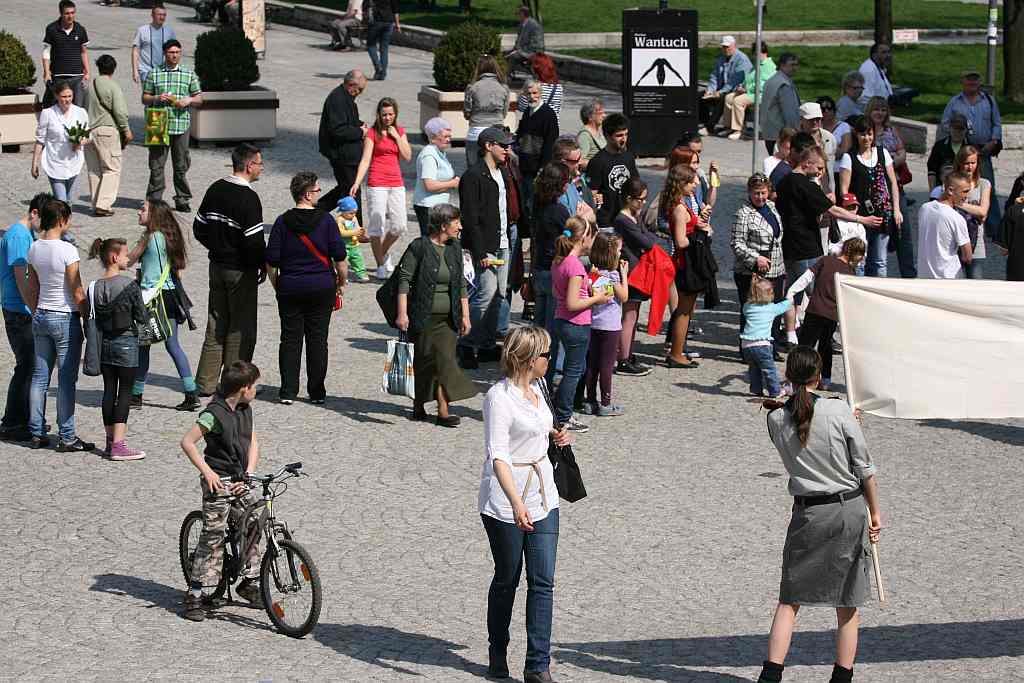 Upomnieli się o zwierzęta na płycie Rynku