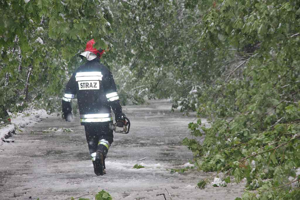 Akcja strażaków na Ceglanej