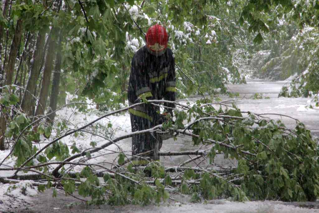 Akcja strażaków na Ceglanej