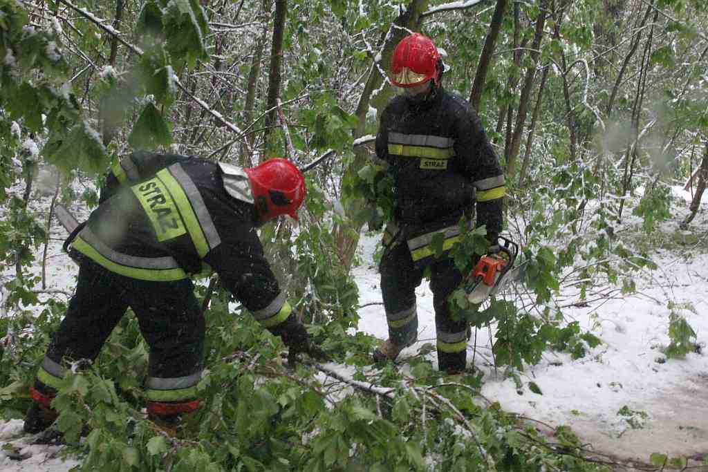 Akcja strażaków na Ceglanej