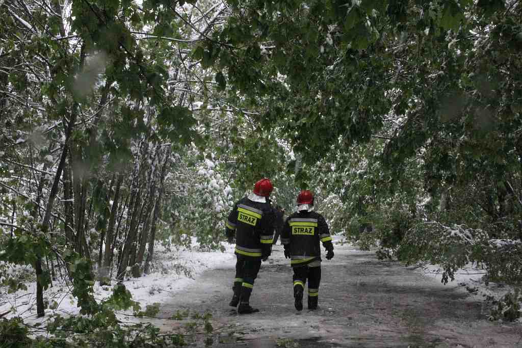 Akcja strażaków na Ceglanej
