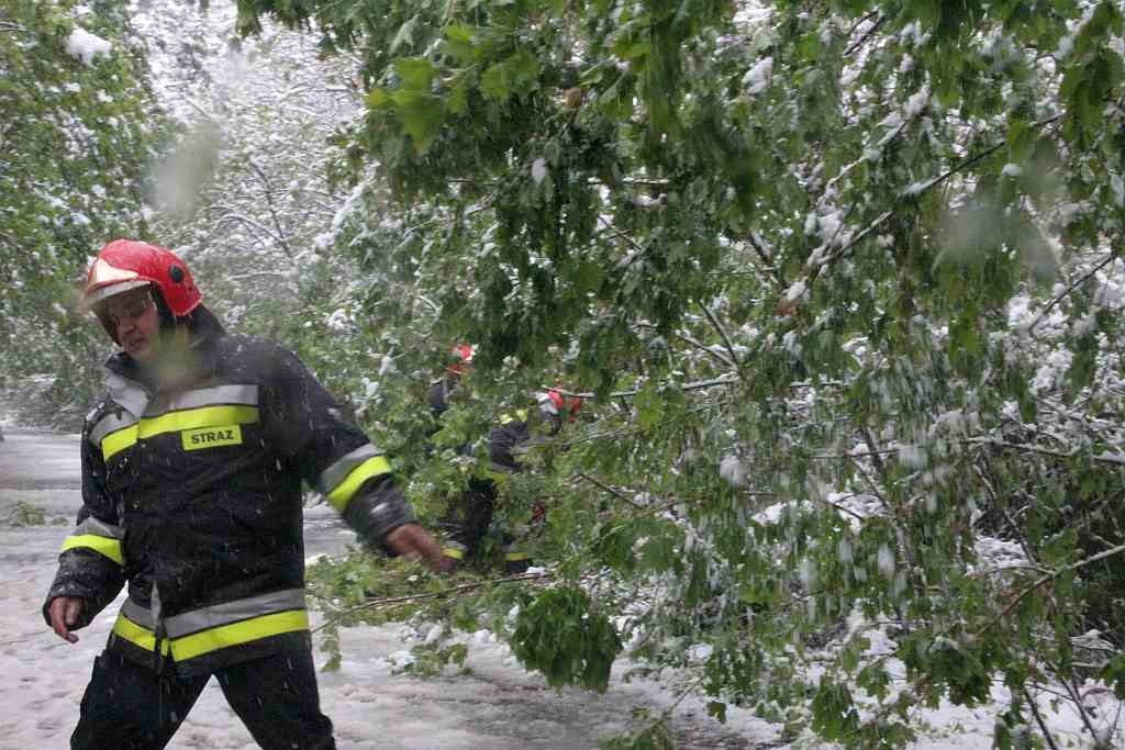 Akcja strażaków na Ceglanej