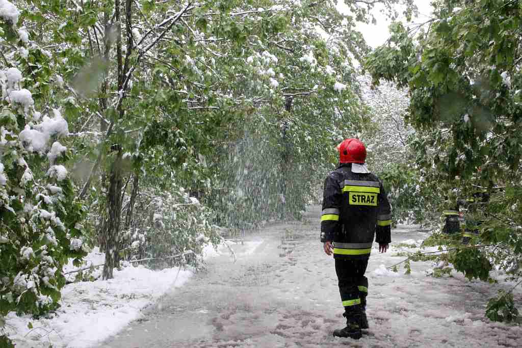 Akcja strażaków na Ceglanej