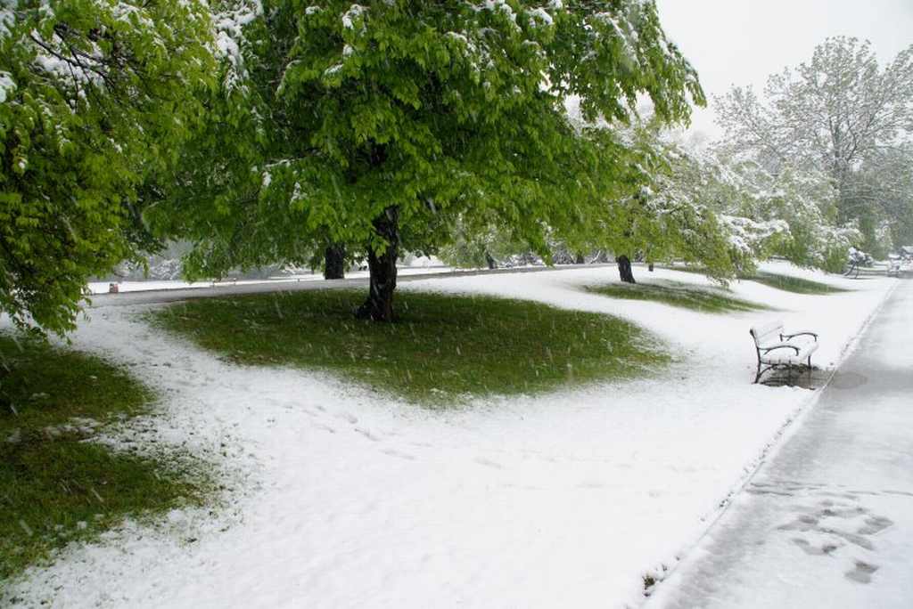 Zima w maju z kontaktu