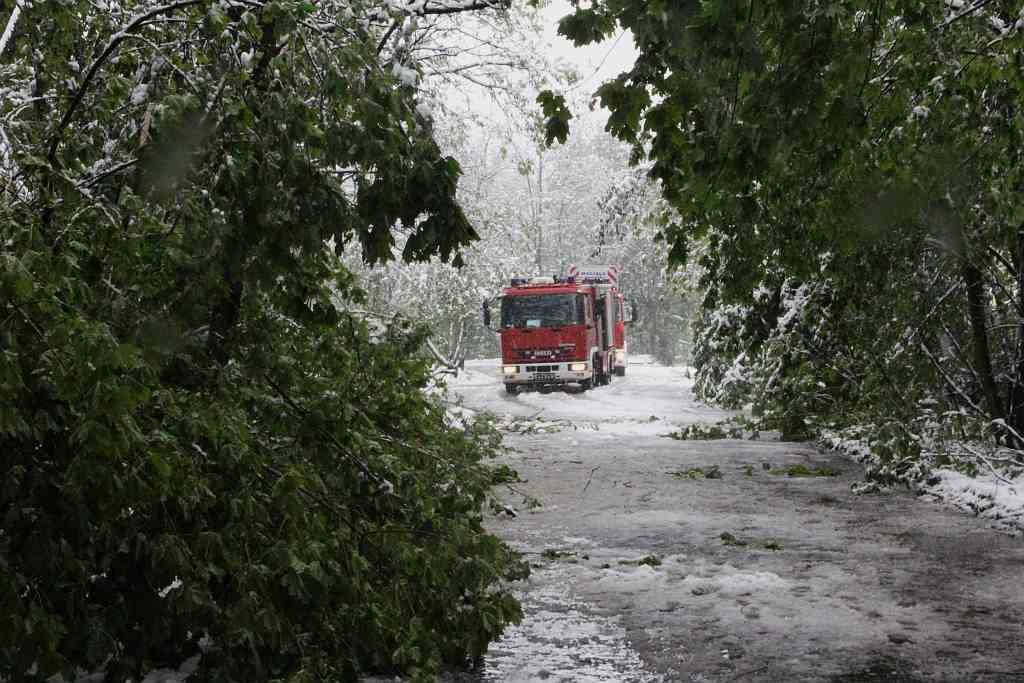 Akcja strażaków na Ceglanej