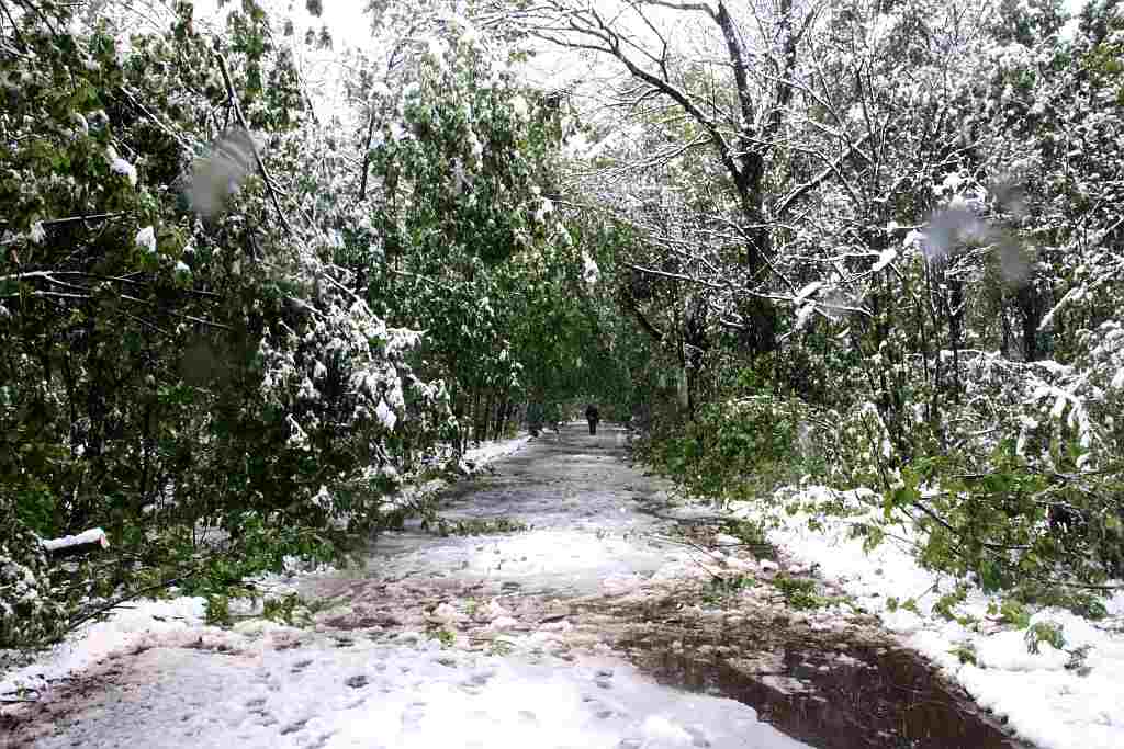 Akcja strażaków na Ceglanej